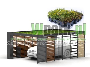 Wypełnienie dachu roślinami 4000 mm na 6000 mm