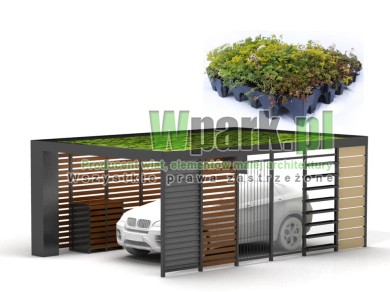 Wypełnienie dachu roślinami 4000 mm na 6000 mm